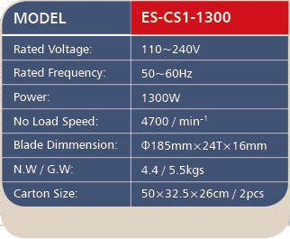 ES-CS1-1300